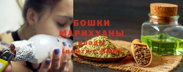 мяу мяу мука Магас