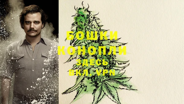 гашик Липки