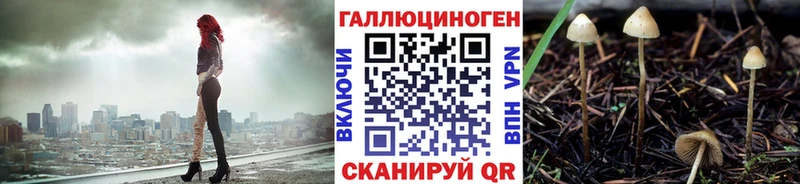 Псилоцибиновые грибы Cubensis  blacksprut как зайти  Лебедянь 